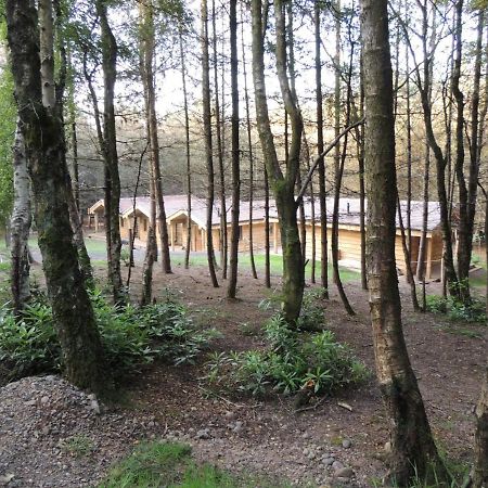 Wyldwood Lodge Cheadle  Esterno foto