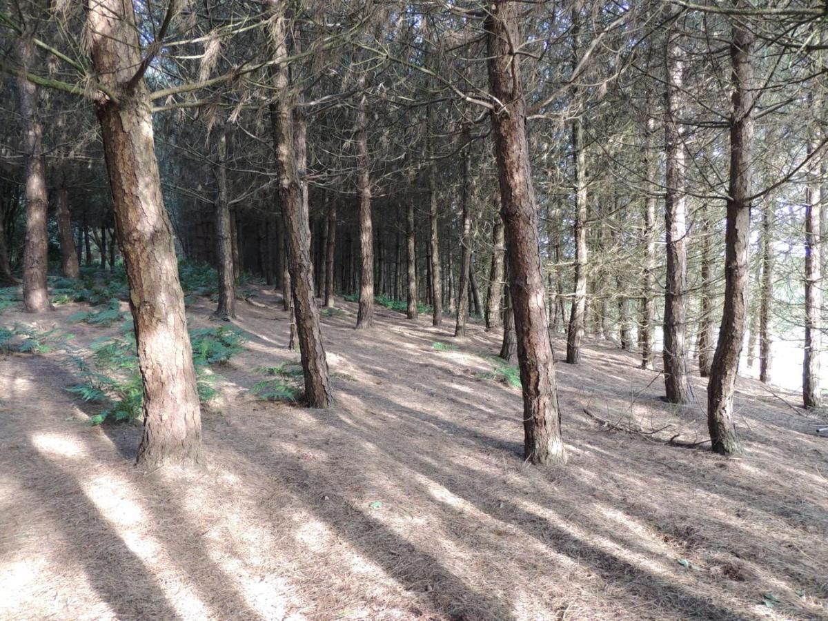 Wyldwood Lodge Cheadle  Esterno foto
