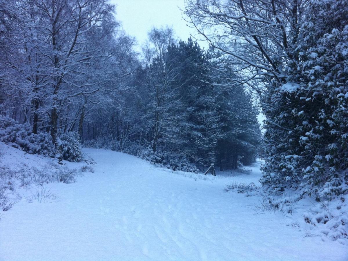Wyldwood Lodge Cheadle  Esterno foto
