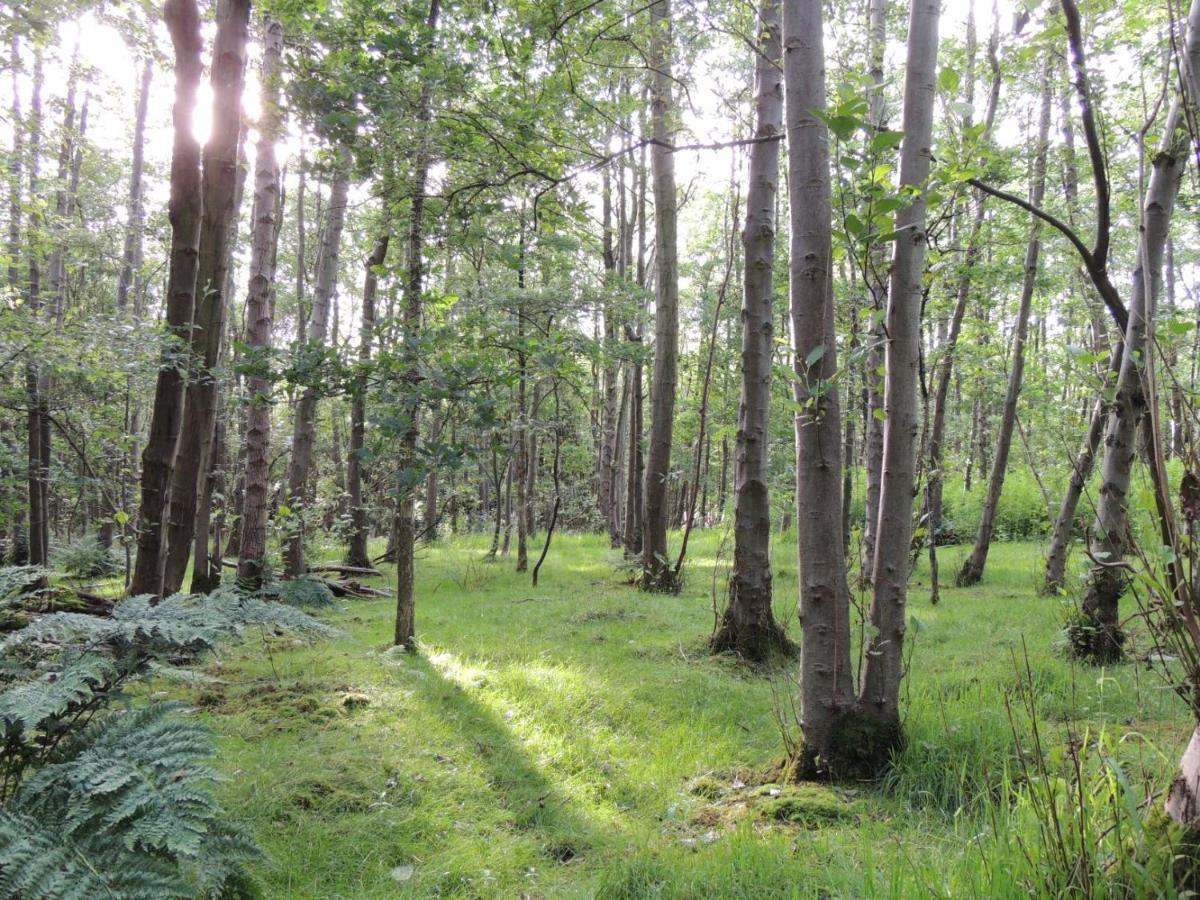 Wyldwood Lodge Cheadle  Esterno foto