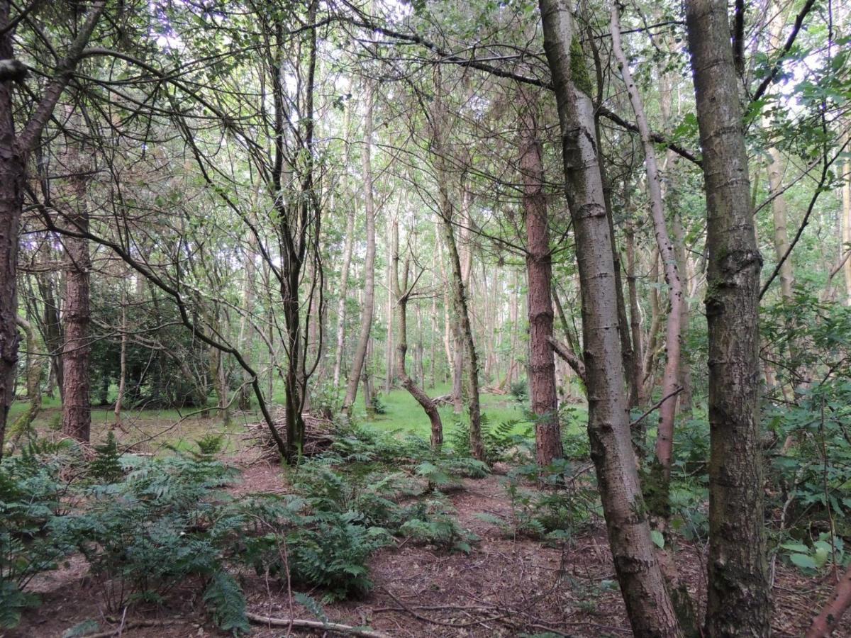 Wyldwood Lodge Cheadle  Esterno foto